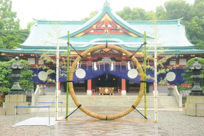 DSC_3215 (Large).JPG